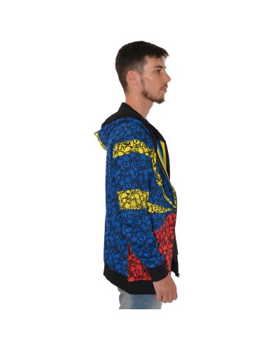 Sweat Picto Drapeau