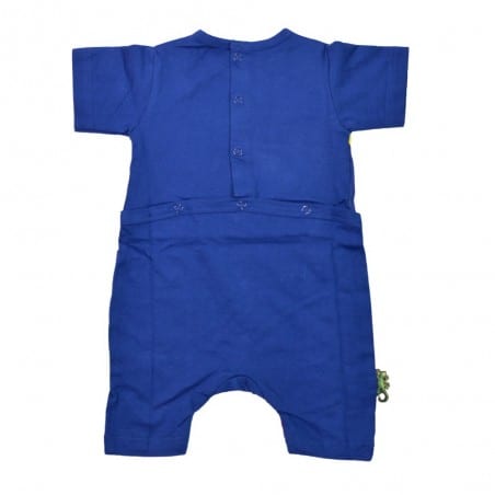 Babygros Flag