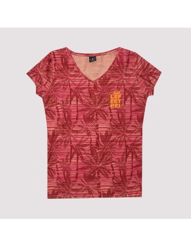 Top Palm 23