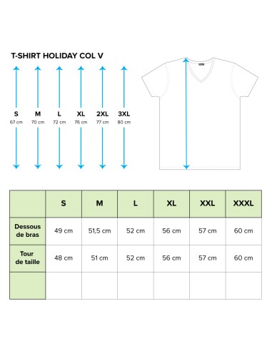 T-shirt Origami (Col V Holiday)