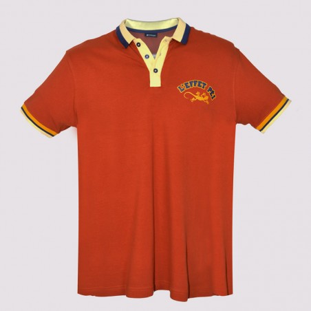 Polo Drapeau