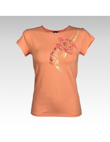 Top Tortue Nezien 24 (Classic Col O)